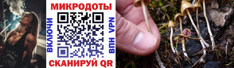 Купить где  Когалым  Псилоцибиновые грибы мухоморы 